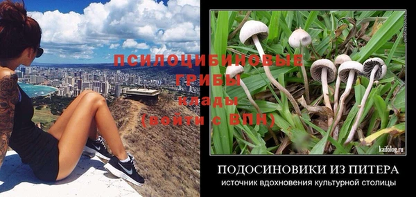 эйфоретик Нефтекумск