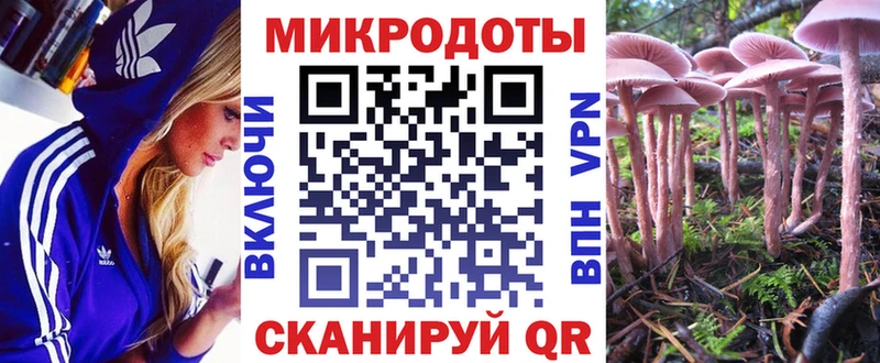 Купить где  Абакан  Псилоцибиновые грибы Psilocybe 